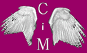 Criminology in Millennium Logo